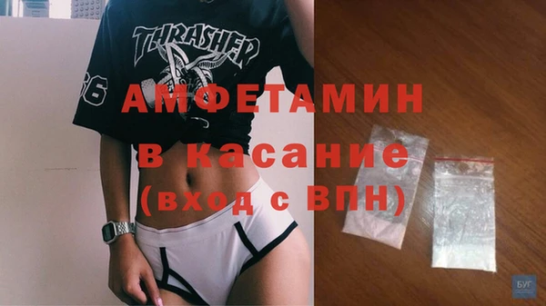 дмт Богданович