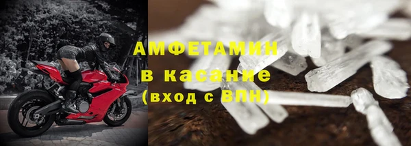 дмт Богданович