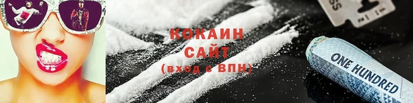 дмт Богданович