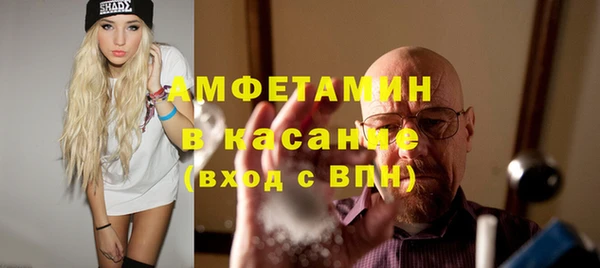 дмт Богданович