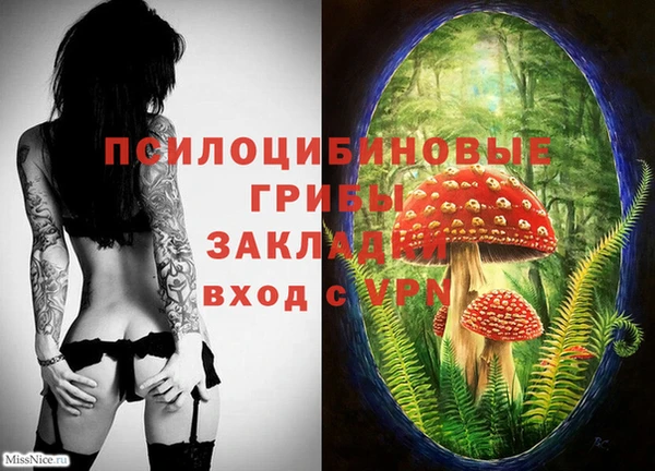 Альфа ПВП Богородск