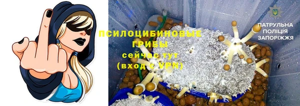 синтетический гашиш Богородицк