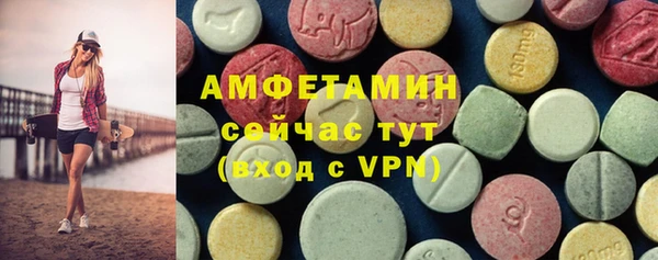 дмт Богданович