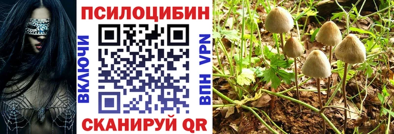 дарнет шоп  Томск  кракен   Псилоцибиновые грибы MAGIC MUSHROOMS 